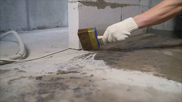 SJ Waterproofing Pros Waterproofing coverage map for Albertville, MN and surrounding area